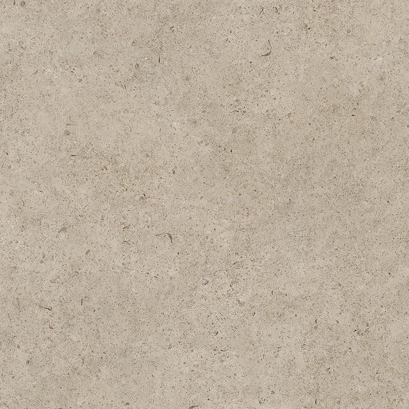Limestone Camel Grey - Limestone Camel Grey Matte Tile price