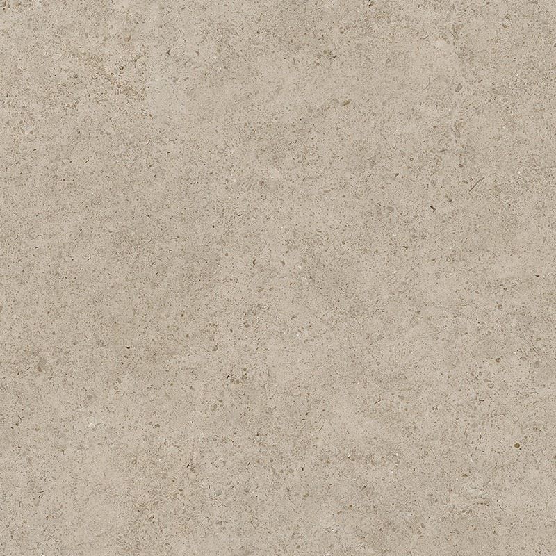 Limestone Camel Grey - Limestone Camel Grey Matte Tile suppliers